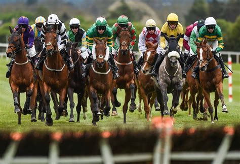 connecticut horse betting